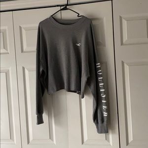 Hollister Gray cropped crew neck (never worn)